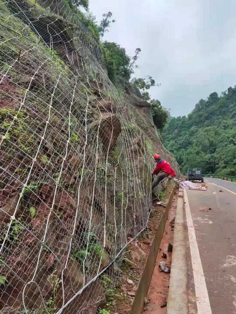 蚌埠龙子湖区边坡绿化防护